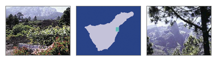 Tenerife